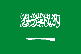 [Country Flag of Saudi Arabia]